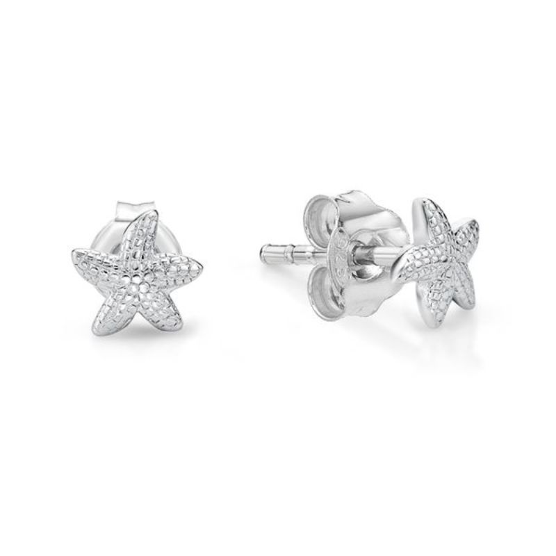 Picture of TINY STARFISH