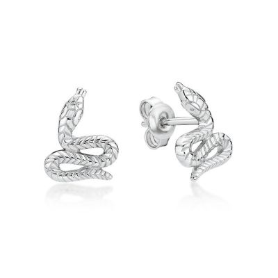 Picture of SNAKES