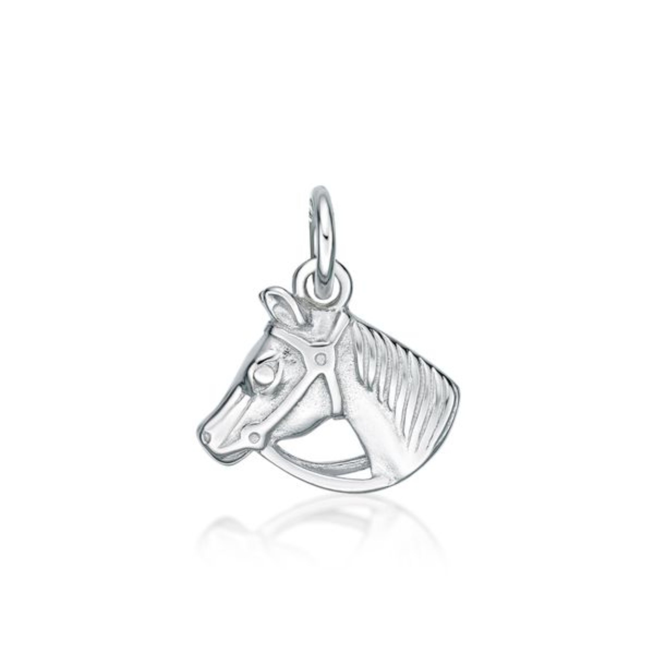Picture of HORSE'S HEAD