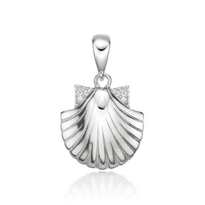 Picture of SHELL