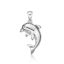 Picture of DOLPHIN