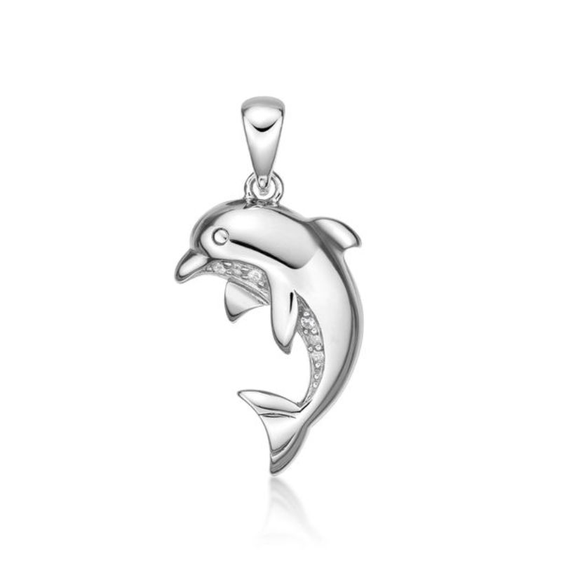 Picture of DOLPHIN