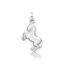 Picture of HORSIE, ALL POLISHED