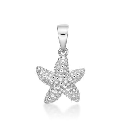 Picture of TEXTURED STARFISH