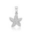 Picture of TEXTURED STARFISH