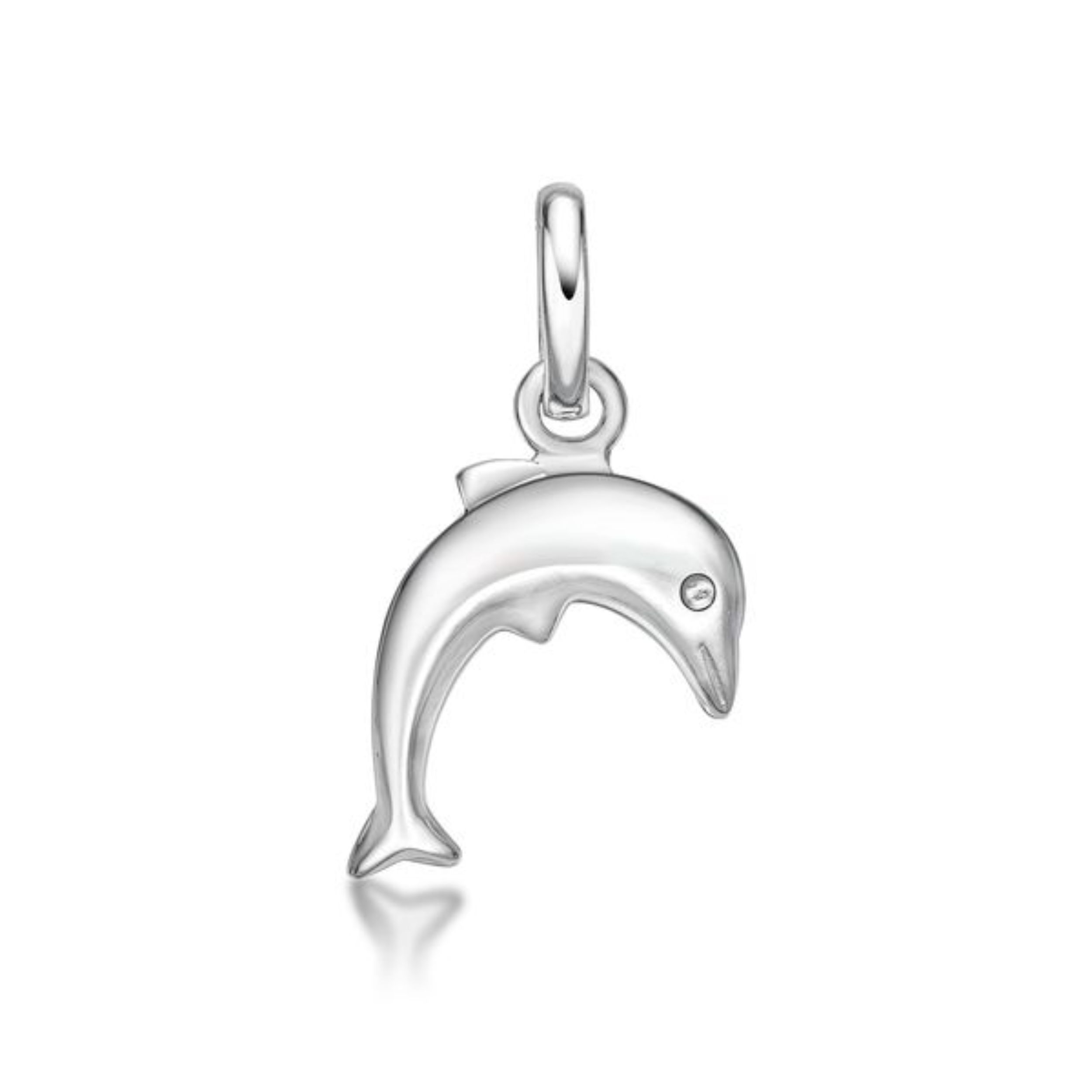 Picture of DOLPHIN, ALL POLISHED