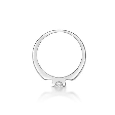 Picture of BABY RING, 4 CLAW, PENDANT REALLY!!