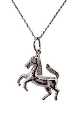 Picture of HORSE CHARM. LRG with CHAIN