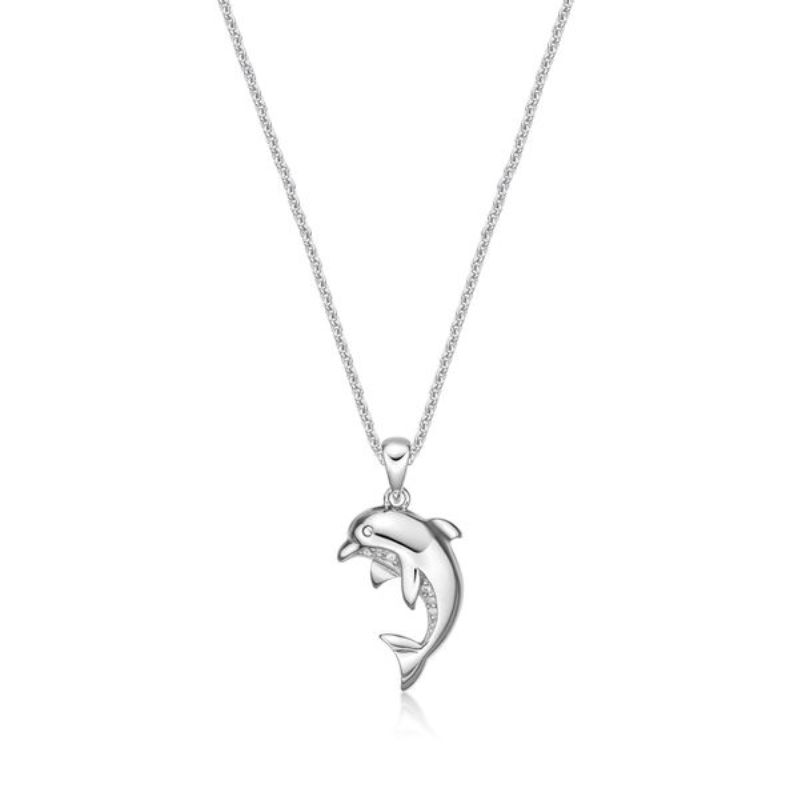 Picture of DOLPHIN with CHAIN