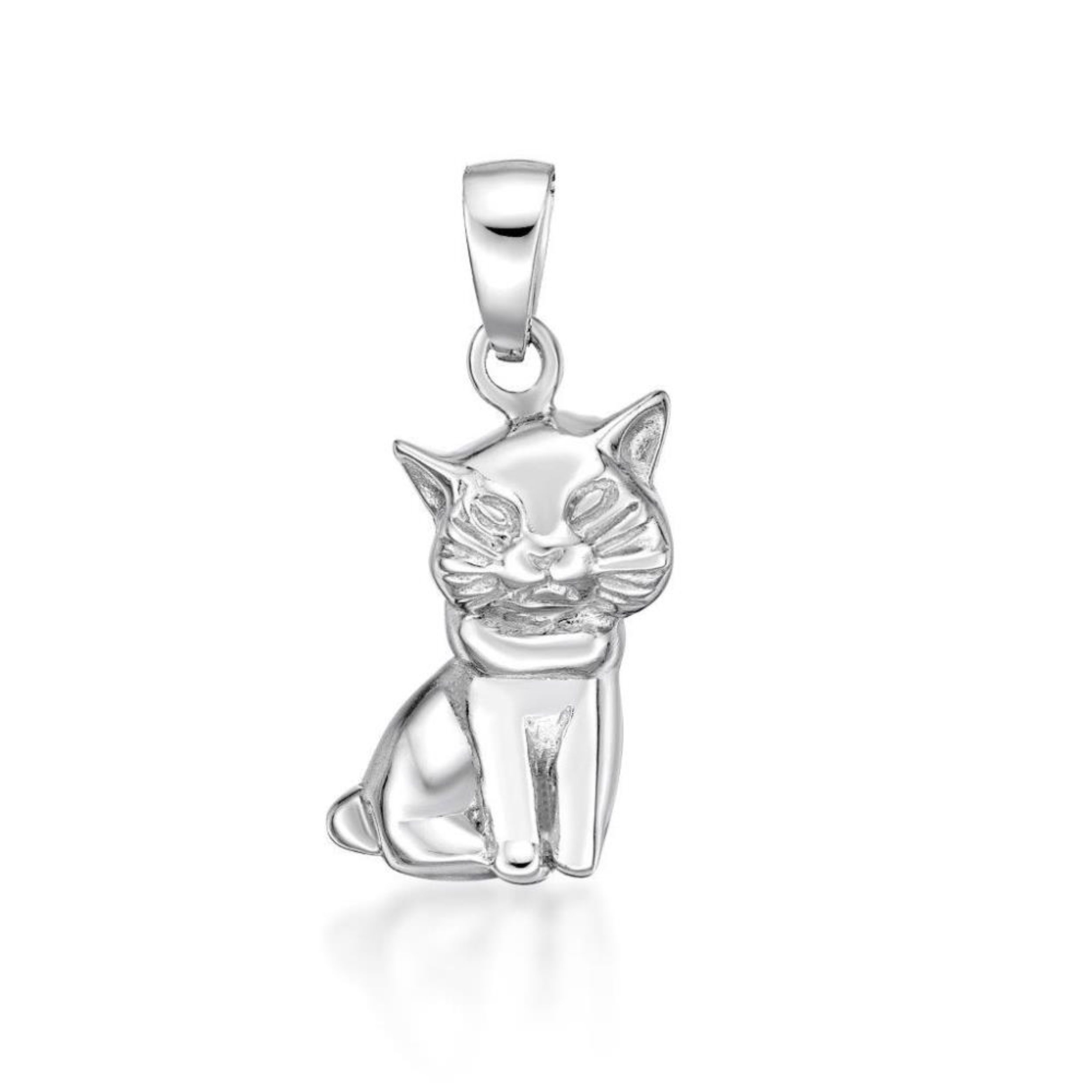 Picture of CAT