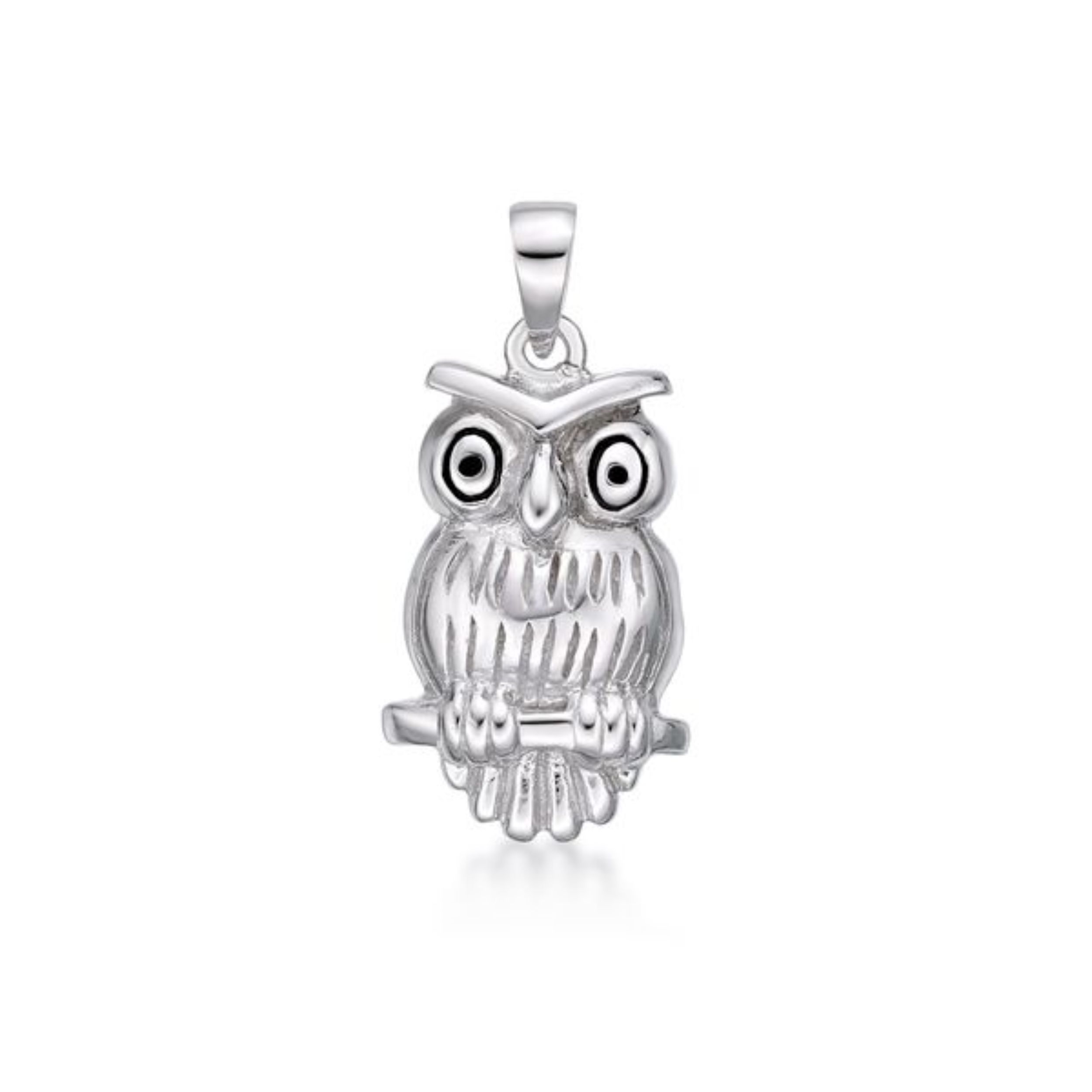 Picture of OWL, SURPRISED LOOK, PEND.