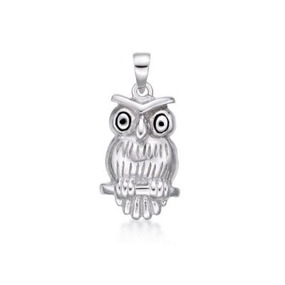 Picture of OWL, SURPRISED LOOK, PEND.