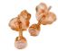 Picture of 3mm RD RGP, R/O STUD, WHITE