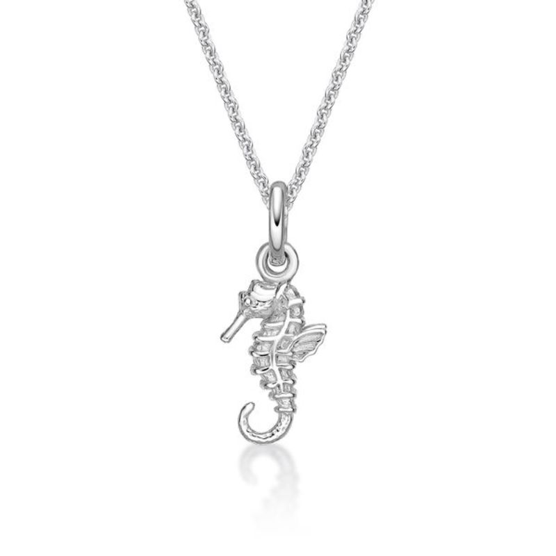 Picture of SEA HORSE with CHAIN