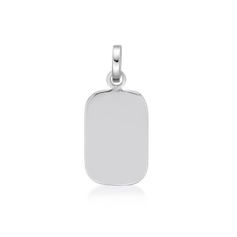 Picture of ~15x10 DOG TAG