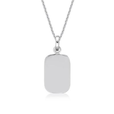 Picture of ~15x10 DOG TAG with chain