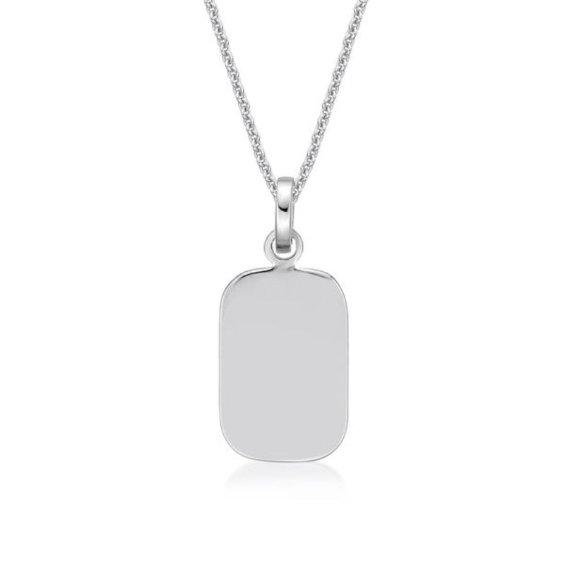 Picture of ~15x10 DOG TAG with chain