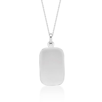 Picture of ~20x13 DOG TAG with chain