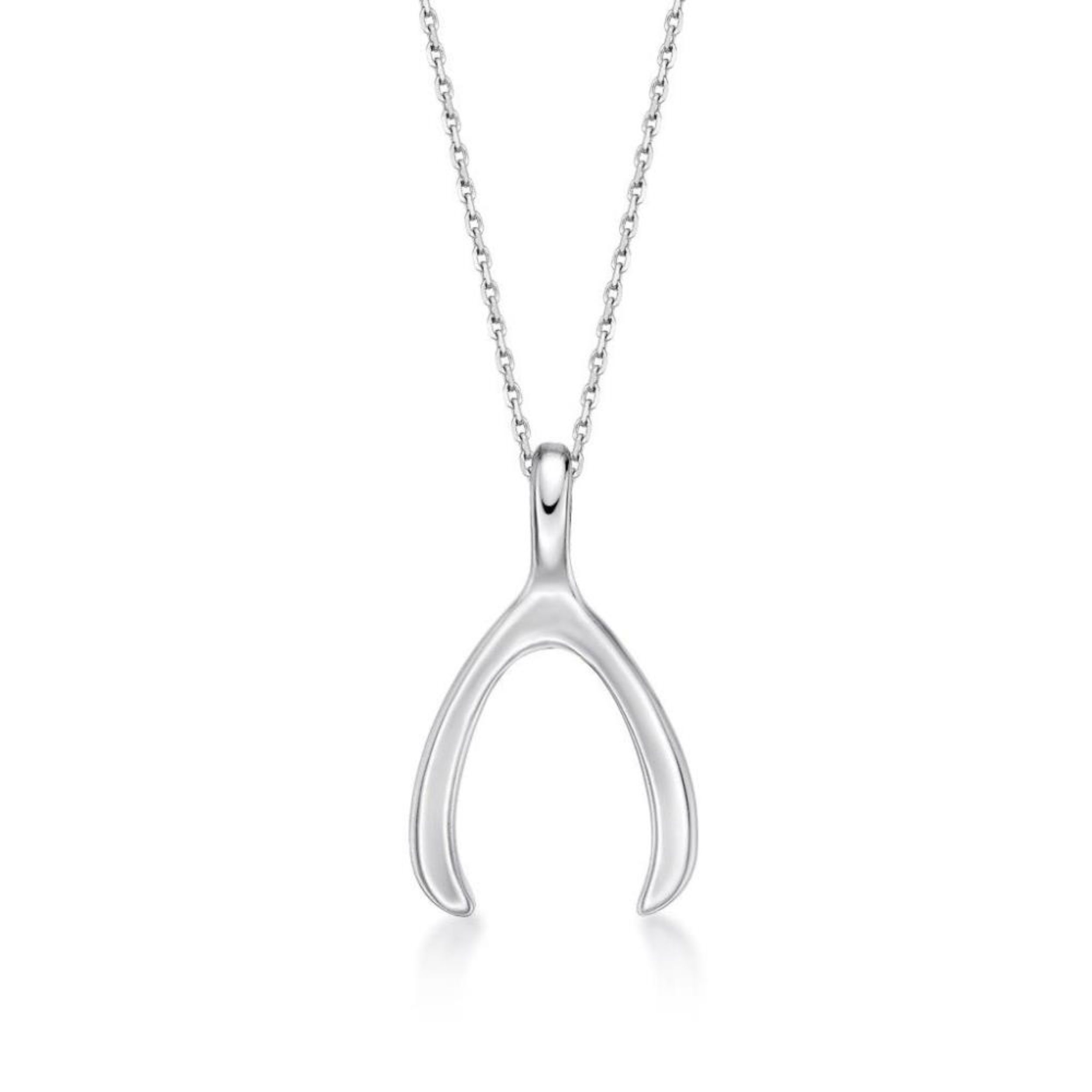 Picture of WISH BONE with chain