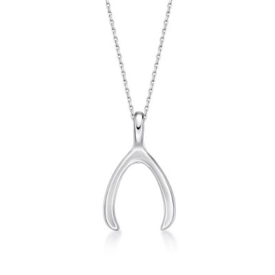 Picture of WISH BONE with chain