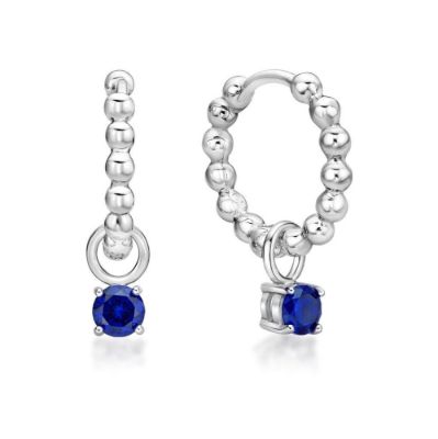 Picture of SEPTEMBER  , HUGGIE 4 CLAW, 2.1x14mm