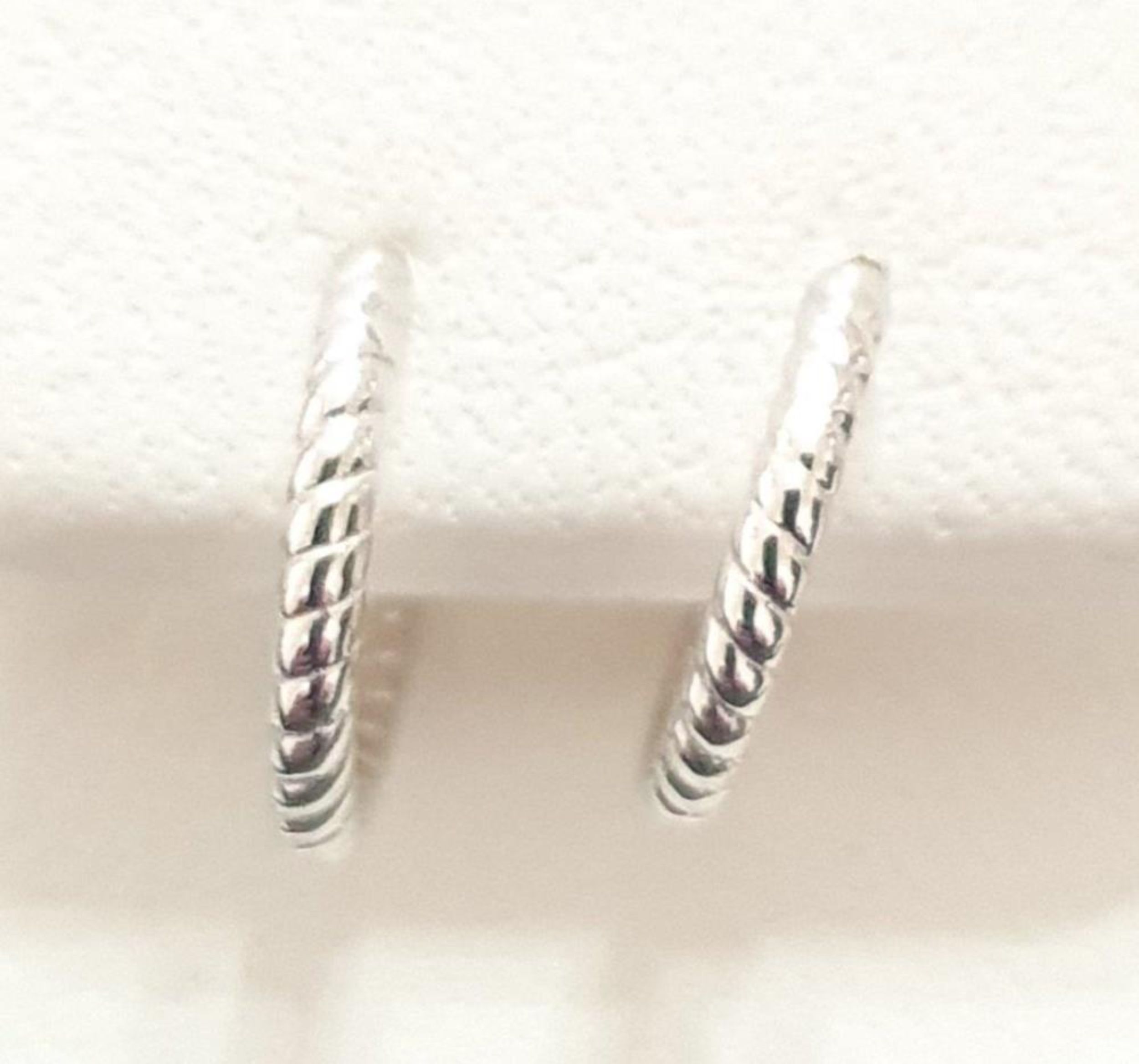 Picture of HUGGIE, POLISHED ROPE, 2x14mm