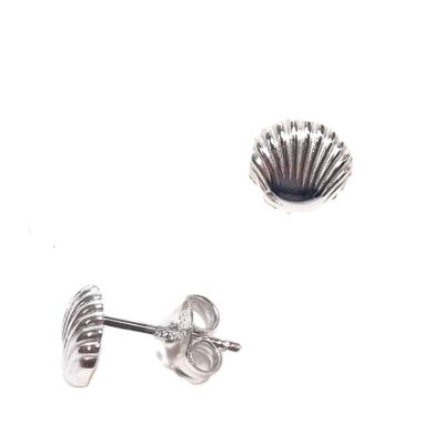 Picture of SEASHELL STUDS