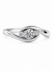 The picture of RINGS